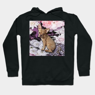 Colorful French Bulldog Hoodie